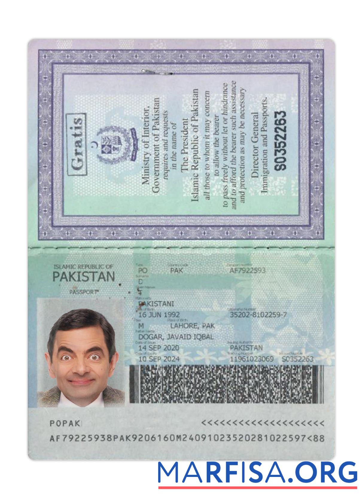 Downloadable Pakistan passport 2020 present example